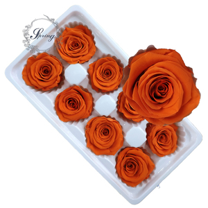 <span class=keywords><strong>Rose</strong></span> Eterne Preservate di Alta Qualità, Colorate, Grado A, 4-5 cm, per Confezioni Floreali - Product Image 4