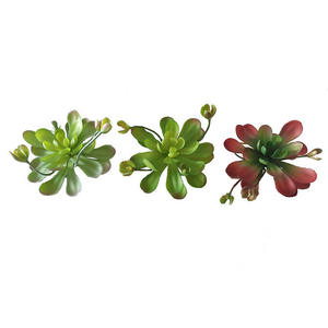 Planta <span class=keywords><strong>Suculenta</strong></span> Artificial de Alta Simulación, <span class=keywords><strong>Flor</strong></span> de Loto Artificial para Decoración de Paredes del Hogar, Planta Artificial Decorativa - Product Image 3
