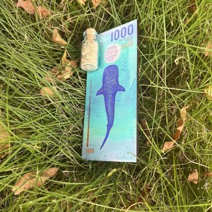 Aimant de réfrigérateur Requin-baleine des Maldives avec bouteille de sable, cadeau souvenir créatif style monnaie - Product Image 4