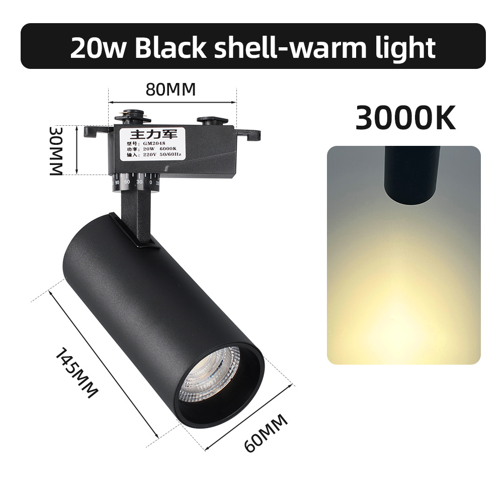 20W Noir -3000K