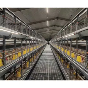 Équipement d'automatisation de la volaille Cage à poulet Batterie pour pondeuses Cages à poussins d'un jour Cage à batterie pour ferme nigériane