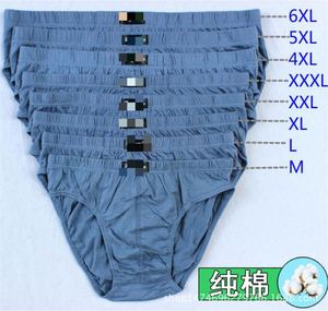 Calzoncillos de Algodón para Hombre al por Mayor, Cintura Media, Varios Colores, Tallas Opcionales, Buena Calidad - Product Image 2