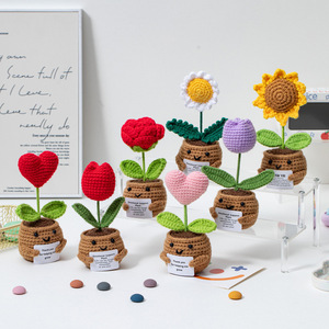 Mini maceta de ganchillo directa de fábrica personalizable y mayorista de Navidad para decoración de hogar y oficina para todos - Product Image 2