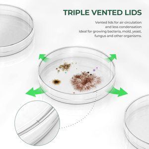 Lab Bacteria Plant Disposable Gridded Agar <span class=keywords><strong>Culture</strong></span> Mycelium Petri <span class=keywords><strong>Culture</strong></span> Dish 120 Mm dengan 3 Line Partition - Product Image 3