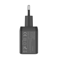 OTP OVP protégé double USB-C charge rapide chargeur rapide 35W GaN PD téléphones coussinets banques d'alimentation ETL PSE SAA GS 20W 45W puissance de sortie