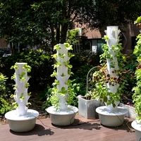 Tour hydroponique pour ananas et légumes-feuilles - Kit de culture hydroponique en tour