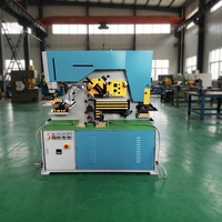 Machine de découpe et de poinçonnage hydraulique industrielle pour la fabrication d'angles en acier