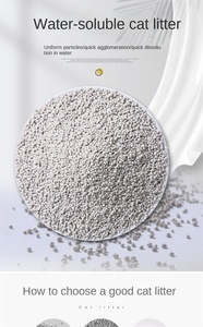 Hot Sell Bal Vorm 100% Natuurlijke Appelkat Klonteren Bentoniet Kattenbakvulling - Product Image 2