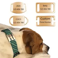 Tùy Chỉnh Trống Trượt Trên ID Tên Dog Cat Tag Cho Pet Phụ Kiện Cá Nhân Thép Không Gỉ Khắc Tên Địa Chỉ Dog Collar Tag