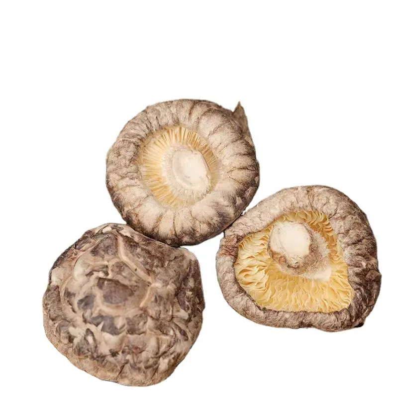 Factory Price Dried Shiitake Mushrooms High Quality Dried Mushrooms