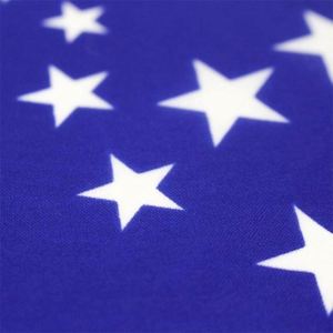 Wholesale Brazil Brazilian National Country <b>Flag</b> 3x5 Ft Polyester Fade Resistant with Brass Grommets - Product Image 5