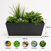 Jardinière surélevée extérieure en acier galvanisé noir thermolaqué sur mesure pour herbes et légumes – Vente en gros