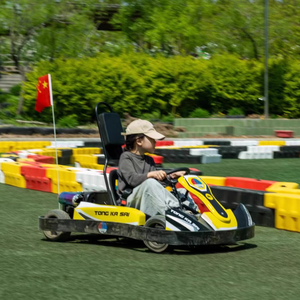 Qiqu Thương Mại Chống Va Chạm Thiết Kế Cho <span class=keywords><strong>Kart</strong></span> Theo Dõi Kép 450W Động Cơ Phía Sau Bánh Xe Ổ Đĩa Điện Đi <span class=keywords><strong>Kart</strong></span> - Product Image 6