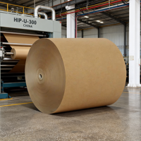 Rouleaux de papier kraft enduit de PE résistant à la graisse, personnalisés en gros, 80g-200g, papier d'emballage vierge pour emballages alimentaires