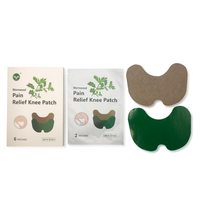 Patch antidouleur naturel à l'armoise pour genoux et lombaires, dispositif médical de classe I MDT104A, fournitures de thérapie de réadaptation