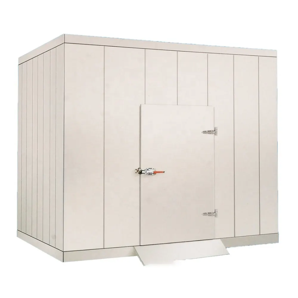 Deep freezer industrial cold storage with condensing unit for meat fruit vegetable
