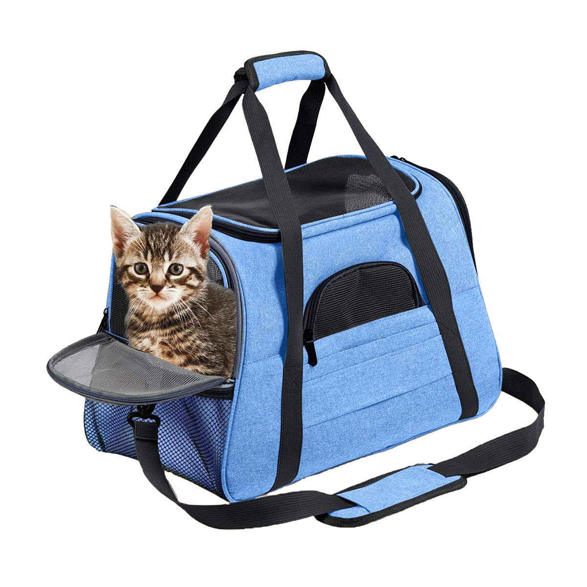 Bleu