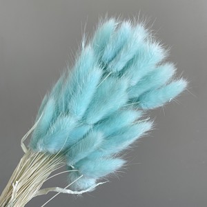 Fornitura Diretta dalla Fabbrica: Erba Coda di Coniglio Stabilizzata, Fiori di <span class=keywords><strong>Lagurus</strong></span> Ovatus Sbiancati ed Essiccati per Decorazioni Floreali Bohémien - Product Image 2