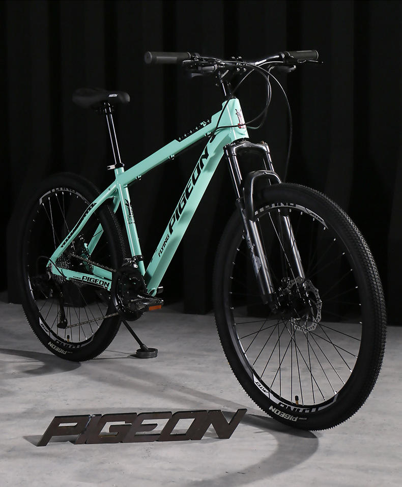 Factory Price Mountain Bike Mtb Bicycle 26 Inch Downhill Mountain Bike for  Men/steel Steel Fx 24 Speed