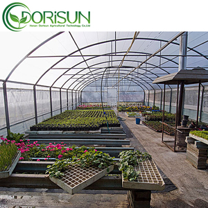 <span class=keywords><strong>Serre</strong></span> commerciale à simple portée en PE <span class=keywords><strong>pour</strong></span> légumes, grande taille, tunnel de <span class=keywords><strong>serre</strong></span>, système d'irrigation par micro-aspersion - Product Image 6