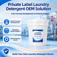 Solution de fabrication OEM de détergent à lessive en marque blanche – Formule concentrée et équipement inclus