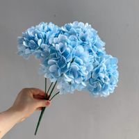 Bunga Hydrangea Buatan Laris Manis, Hydrangea Sentuhan Nyata, Bunga Hydrangea Putih