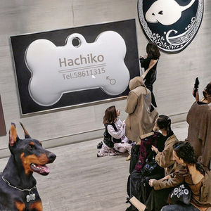 Benutzer definierte Tier marke Edelstahl/Zink legierung Hunde marke Moderne Metall Blank Halskette UV-beschichtete Sublimation ID Tag für Katze Haustier - Product Image 3