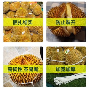Attaches-câbles Shunshin Durian 5x650mm en nylon haute résistance autobloquant pour le regroupement des fruits - Product Image 1