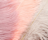 Vente en gros 25-30cm plumes d'autruche rose rouge jaune noir vert plumes d'autruche en vrac pour la décoration