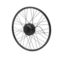Kit de conversion de vélo électrique 36v 48v 350w 500w 750w 1000w Moteur de moyeu Moteur de vélo électrique