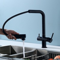 Robinet de cuisine moderne à double poignée pour montage sur plan, en laiton, mitigeur chaud/froid avec cartouche céramique, douchette latérale et filtre