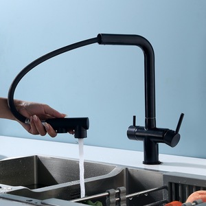 Deck Mount Double Handle Modern <strong>Kitchen</strong> Faucet Brass Hot Cold Mixer <strong>Taps</strong> with Ceramic Valve Core Side Spray <strong>Kitchen</strong> <strong>Tap</strong> <strong>Filter</strong> - Product Image 6