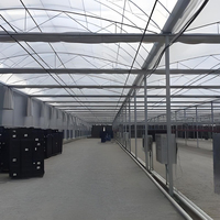 Projet clé en main de serre commerciale de grande taille pour tomates et fraises avec film PE, structure en acier et couverture transparente - Équipement agricole