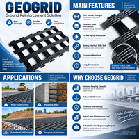 Géogrille plastique biaxiale haute résistance TGSG en PP pour le renforcement géotechnique des talus routiers et des sous-drainages souples