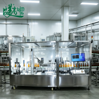Peralatan Inspeksi Visual Botol Plastik Industri dengan Sistem Pengeluaran Ganda untuk Tugas Kontrol Kualitas Penyortiran Multi Level