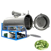 Volautomatische Vacuüm Vriesdroger Voor Fruitgroente Verwerking Bessen Champignons Vacuüm Vriesdroogmachine