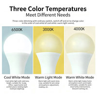 Ampoule LED à interrupteur mural E27 5W/7W/12W 3000K/4000K/6500K, corps en plastique et aluminium, contrôle par interrupteur, AC100-265V, usage résidentiel
