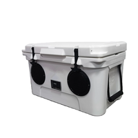 Glacière de coffre 45L en PE étanche, prête pour l'aventure, avec haut-parleurs, pour vin, nourriture, canettes, glace et confitures - Organisateur de rangement polyvalent