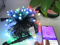 E-top 12MM DMX Light 12V 100CT WS2811 RGB Led Pixel Lights Impermeable WS2801 Cuerdas