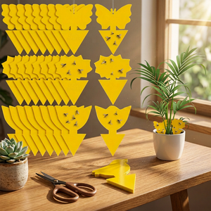 Trampa Adhesiva Resistente al Agua con Forma de Sol y Logotipo Personalizado para Plantas de Cítricos en Maceta - Product Image 1
