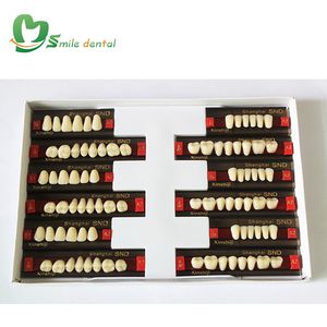 Dents dentaires en résine acrylique à deux couches Dents complètes de la bouche Dents de prothèse dentaire - Product Image 2