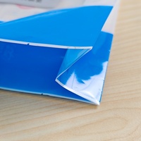 Op maat gemaakte zijvouwtasjes met hanggaten voor droge noedels, supermarkt retail display, achteraf verzegelde plastic zijvouwtasjes