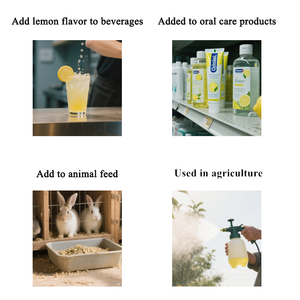 96% contenido materia prima de alta calidad citral sintético con aroma de limón precio de fábrica más bajo citral CAS 5392-40-5 - Product Image 4