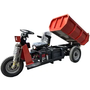 HuanSheng Mini camion à benne basculante hydraulique Dumper Cargo Tricycle