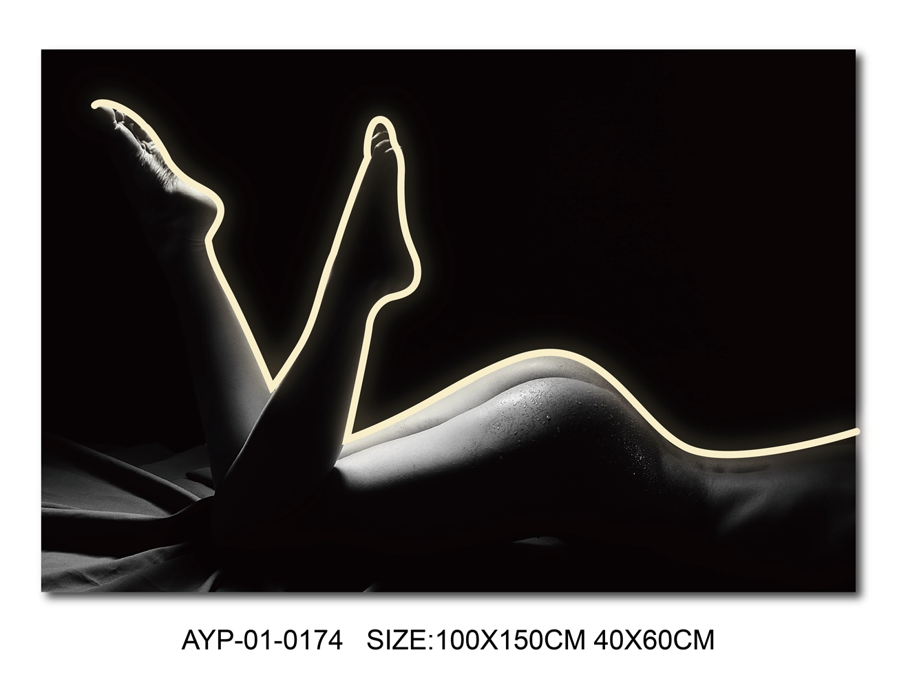 AYP-01-0169