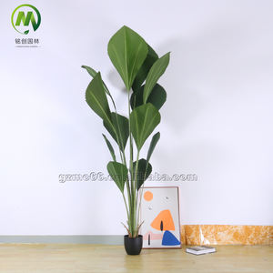Nouvel Arbre Artificiel <span class=keywords><strong>Palmier</strong></span> Vert de Sumatra à Feuilles <span class=keywords><strong>en</strong></span> <span class=keywords><strong>Éventail</strong></span>, Plante Bonsaï <span class=keywords><strong>en</strong></span> Plastique pour Usage Domestique - Product Image 6