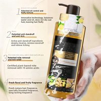 Set Sampo & Kondisioner Lemon Jahe Bebas Silikon OEM 550ml Anti-Ketombe Pengontrol Minyak Menutrisi Menambah Volume Grosir