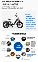 Vélo électrique hybride à moteur haute vitesse EB20-099 de Chine, vélo électrique pour femmes à 7 vitesses, pneus larges de 20 pouces, longue autonomie, vélo de ville pour adultes