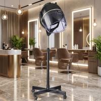 Équipement de salon en gros, sèche-cheveux mural professionnel réglable en plastique + fer 950w pour salon de coiffure