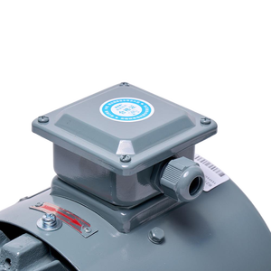 ปั๊มลูกสูบแรงดันสูง Dhp สำหรับการกรองน้ำทะเลและบำบัดน้ำเสีย รุ่น Dhp1.7 ทำงานได้สูงสุดที่ 10 บาร์ - Product Image 6